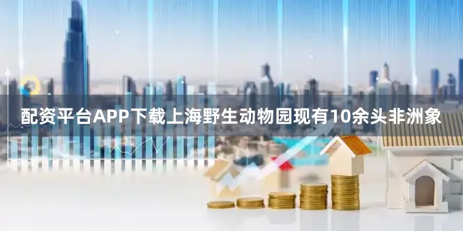 配资平台APP下载上海野生动物园现有10余头非洲象