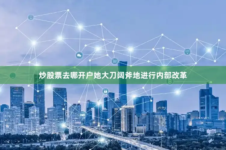 炒股票去哪开户她大刀阔斧地进行内部改革