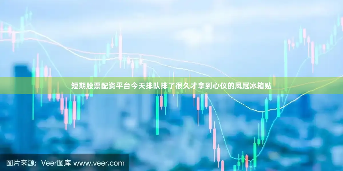 短期股票配资平台今天排队排了很久才拿到心仪的凤冠冰箱贴