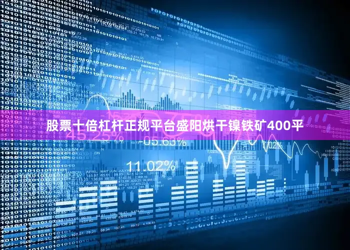 股票十倍杠杆正规平台盛阳烘干镍铁矿400平