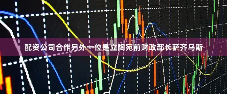 配资公司合作另外一位是立陶宛前财政部长萨齐乌斯