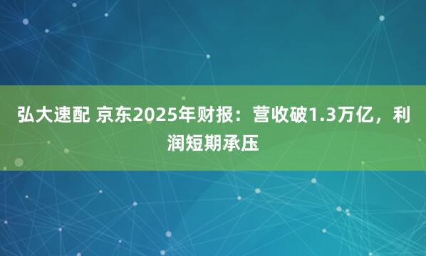 弘大速配 京东2025年财报：营收破1.3万亿，利润短期承压