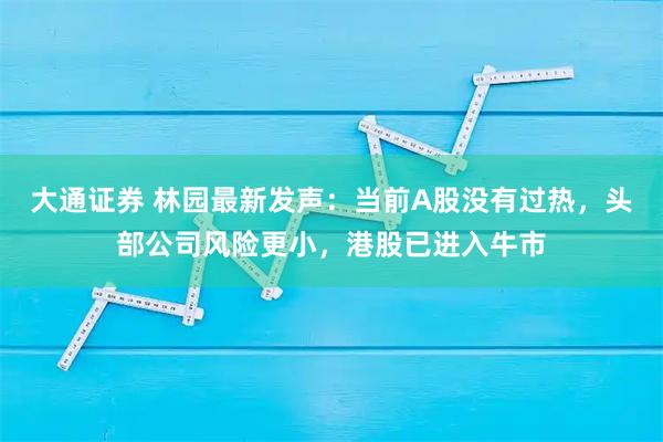 大通证券 林园最新发声：当前A股没有过热，头部公司风险更小，港股已进入牛市
