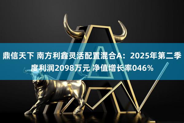 鼎信天下 南方利鑫灵活配置混合A：2025年第二季度利润2098万元 净值增长率046%